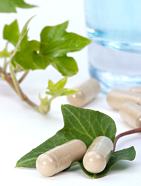 Kibow Probiotics & Prebiotics