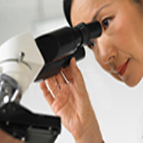 Research & Development